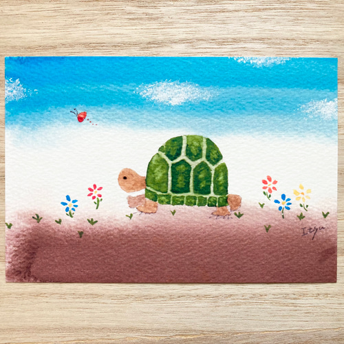 オリジナルハンドメイド 絵 かわいい甲羅のかめさん オリジナルハンドメイド 絵 かわいい甲羅のかめさん （カメさん