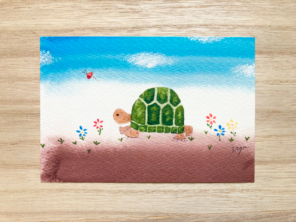 透明水彩画 3枚セット「ほっこりカメさん」イラスト ポスト