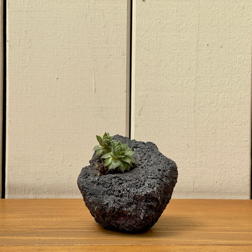 プランター 植木鉢 / 溶岩風 / 左官屋てづくりの一点物 / モルタル造形