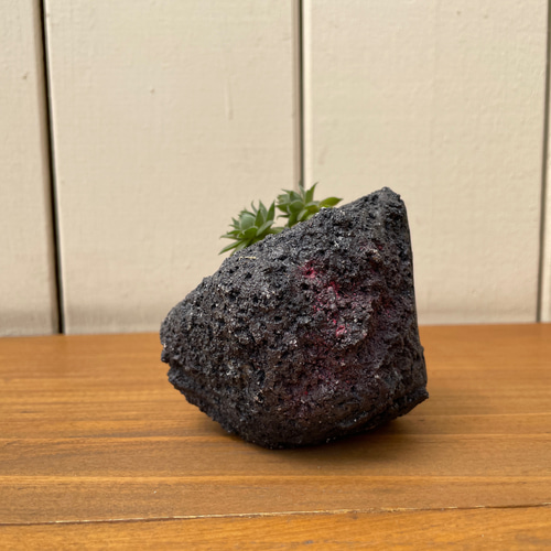 プランター 植木鉢 / 溶岩風 / 左官屋てづくりの一点物 / モルタル造形