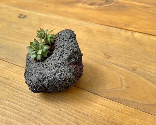 73aa2d8cd7eab4e78bcda5314c5daf