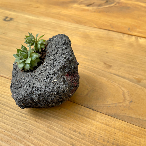 岩石鉢 プランター 植木鉢 / 溶岩風 / 左官屋てづくりの一点物 / モルタル造形