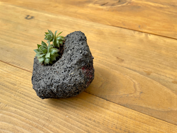 プランター 植木鉢 / 溶岩風 / 左官屋てづくりの一点物 / モルタル造形