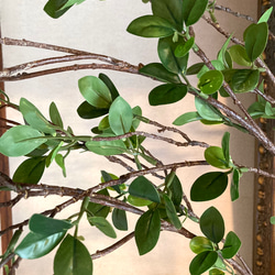 光触媒　人工観葉植物　ウォールグリーン　フェイク　フラワー　ドウダン花器付 5枚目の画像