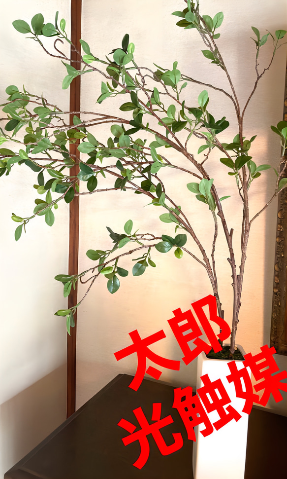 光触媒　人工観葉植物　ウォールグリーン　フェイク　フラワー　ドウダン花器付 1枚目の画像