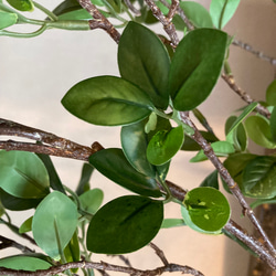 光触媒　人工観葉植物　ウォールグリーン　フェイク　フラワー　ドウダン花器付 6枚目の画像