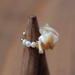 珍珠母貝 x 淡水珍珠耳骨夾 | 六月生日石 | EC43 第5張的照片