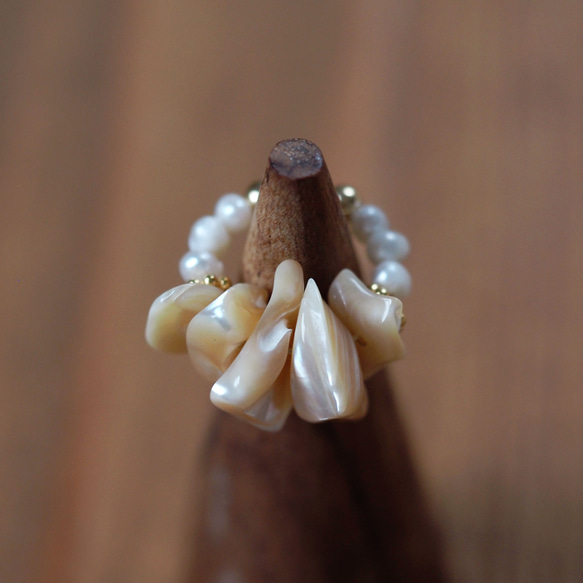 珍珠母貝 x 淡水珍珠耳骨夾 | 六月生日石 | EC43 第4張的照片