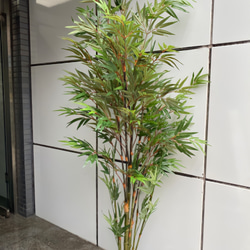 光触媒　人工観葉植物　ウォールグリーン　フェイクグリーン　組立て式バンブー黒竹 光触媒 人工観葉植物 ウォールグリーン フェイクグリーン 黒竹