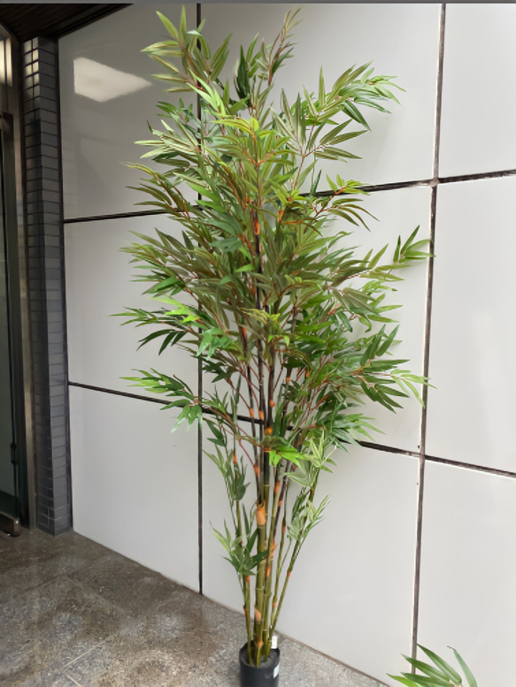 光触媒　人工観葉植物　ウォールグリーン　フェイクグリーン　黒竹@ad 光触媒 人工観葉植物 ウォールグリーン フェイクグリーン 黒竹