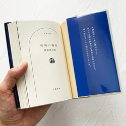 天文圖案書籍封面（金色）/ Techo Cover (A6) Hobonichi Techo Cover Paperback 第10張的照片