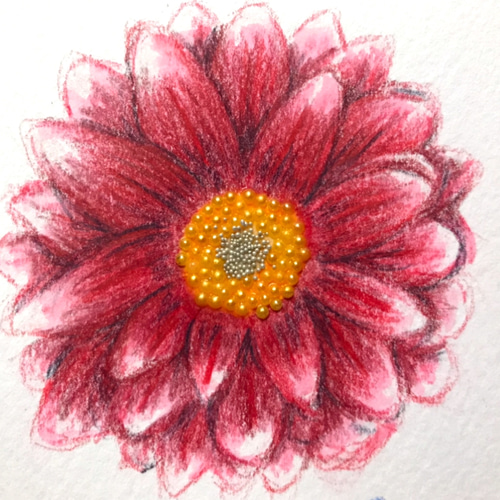 赤色のガーベラ／水彩色鉛筆画／No22 絵画 original-kyo 通販 13823341