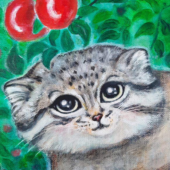 原画 「りんご狩りのマヌルネコ」 F10号 ＃絵画 ＃ねこ ＃マヌルネコ ＃国際マヌルネコの日 ＃果樹園 ＃セキレイ 8枚目の画像