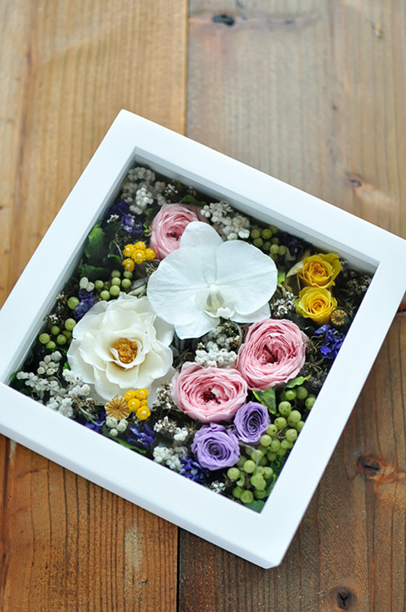 ハンドメイドプリザーブドフラワーアレンジ 胡蝶蘭のプリザーブドフラワーとドライフラワーの壁掛けアレンジメント