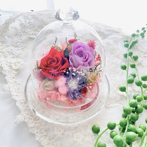 特別価格＊母の日＊結婚*ギフト＊永遠に咲く綺麗なガラスドーム 
