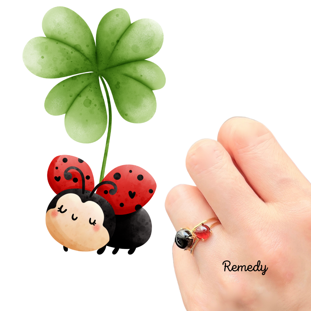 幸せを運ぶてんとう虫♪ブラックオニキスとガーネット のリング２本セット silver925 18KGP 1月誕生石