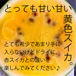 4色メロン・スイカMIX｜国産無添加 砂糖不使用 ドライフルーツ サマーオレンジ キンショーメロン パパイヤメロ 4枚目の画像