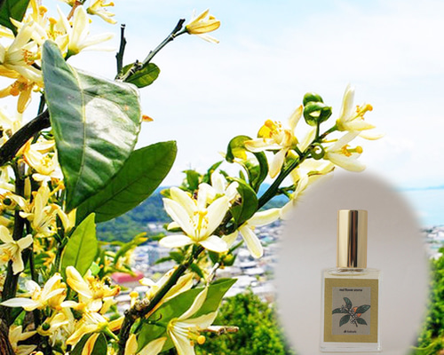 リアル蜜柑の花ノ香 15ml 生花の香りの再現 生花のミストスプレー