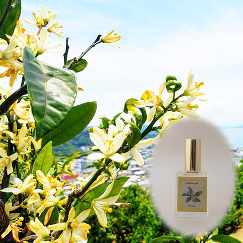 リアル蜜柑の花ノ香 15ml 生花の香りの再現 生花のミストスプレー