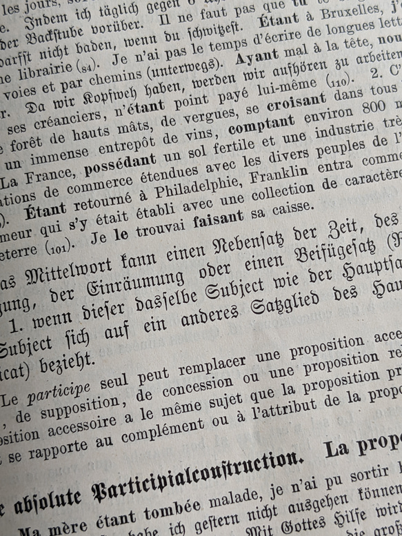 【アンティーク】1899年ウィーン/ドイツ語フランス語文法本 9枚目の画像