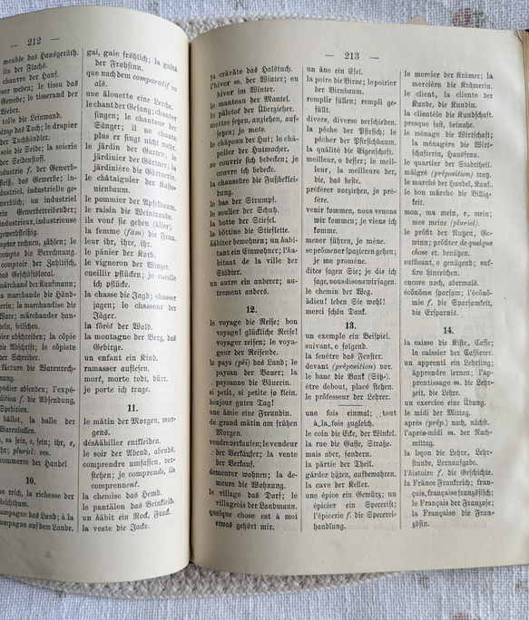 【アンティーク】1899年ウィーン/ドイツ語フランス語文法本 8枚目の画像