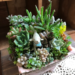 ココニイルヨ＊限定ver.∮多肉植物　寄せ植え∮セダム＊プレゼント＊ハンドメイド ピック＊箱庭＊わんこ＊母の日＊父の日 6枚目の画像