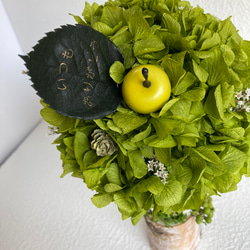 プリザーブドフラワー グリーンアジサイのコロンと丸くてかわいいトピアリー インテリア 誕生日プレゼント 母の日ギフト 14枚目の画像