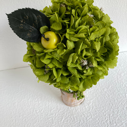 プリザーブドフラワー グリーンアジサイのコロンと丸くてかわいいトピアリー インテリア 誕生日プレゼント 母の日ギフト 11枚目の画像