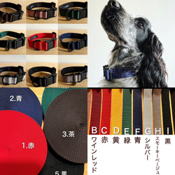 新作‼️ 色組み合わせ自由　5色×10色　　犬の首輪 1枚目の画像