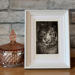 銅版画作品】the Tiger ：迫力たっぷり！お部屋の邪気払いにも◎ 版画