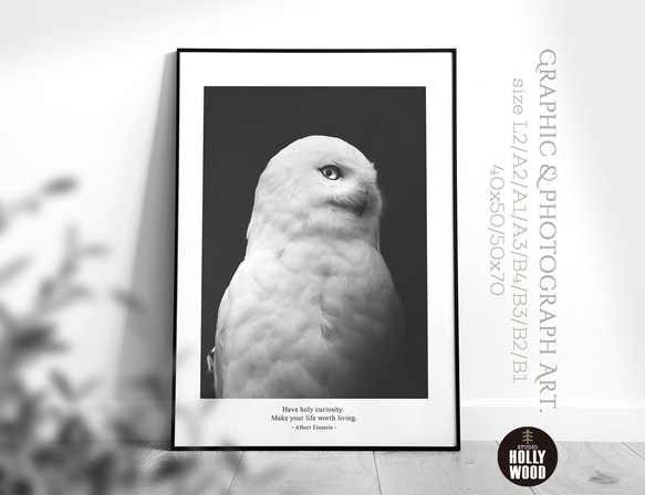 ☆インテリアフォトポスター -CURIOSITY-【280】 写真・グラフィック