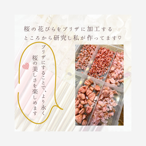 本物の桜まるごと3輪 ♡名入れ ハーバリウムボールペン ギフト
