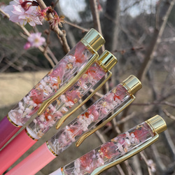 母の日 に大人気♡本物桜まるごと3輪 ♡名入れ【ハーバリウムボールペン】ギフト プレゼント 6枚目の画像