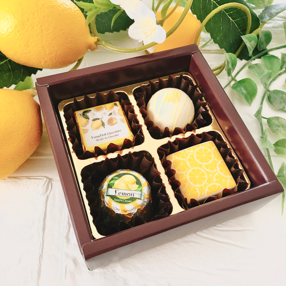 フルーツチョコレートマグネット ４個セット（トリュフ箱入り）レモン 人気・おすすめ｜使いやすい・旅行におすすめ 品質保証 全国発送 日本国内発送・最短翌日お届け