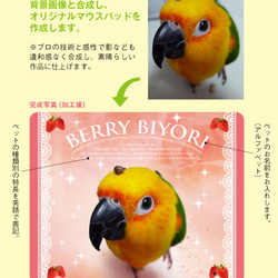 うちの子　鳥　犬　猫　うさぎ「ペットのオーダーメイド マウスパッド」 3枚目の画像