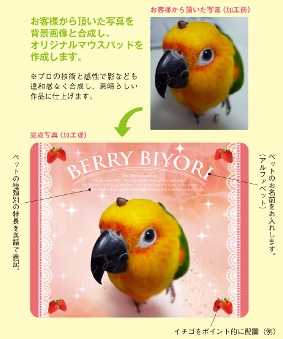 うちの子　鳥　犬　猫　うさぎ「ペットのオーダーメイド マウスパッド」 3枚目の画像