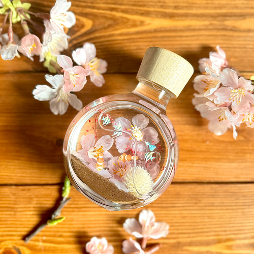 桜と海のハーバリウム＊春のギフトに＊日本の春2025 桜2025