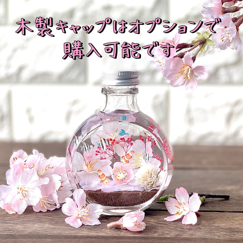 海花セール❣️海花★バラエティセット　ハーバリウム花材　1104-D ハーバリウム Type04 – hikka