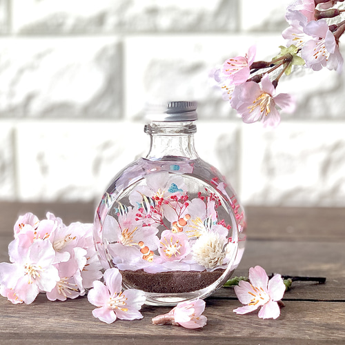 桜と海のハーバリウム＊春のギフトに＊日本の春2025 桜2025