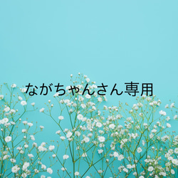 ⭐︎ながちゃんさん専用⭐︎ 1枚目の画像