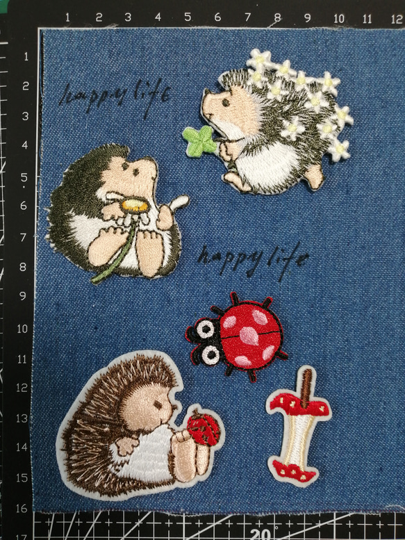 ５枚入ハリネズミ　りんごてんとう虫刺繍アイロンワッペン 1枚目の画像