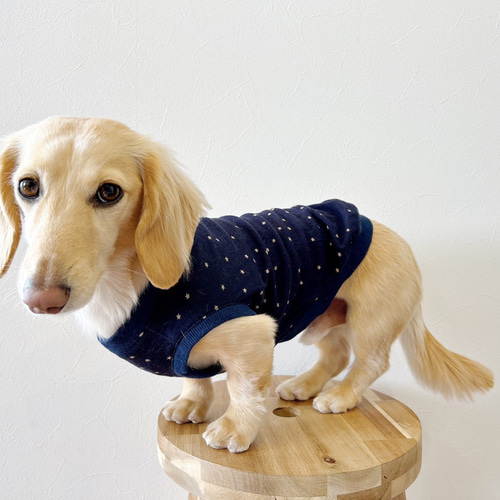 犬服 犬服浴衣 ハンドメイド 星柄