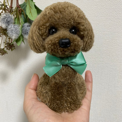 動物ぽんぽん トイプードル ブラウン 手のひらサイズ その他人形