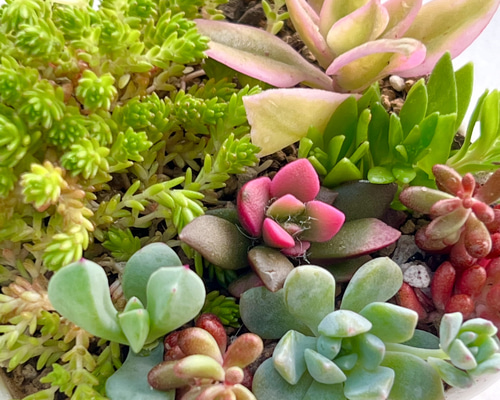 483f89ee187ec57de4cf06f282e3a8