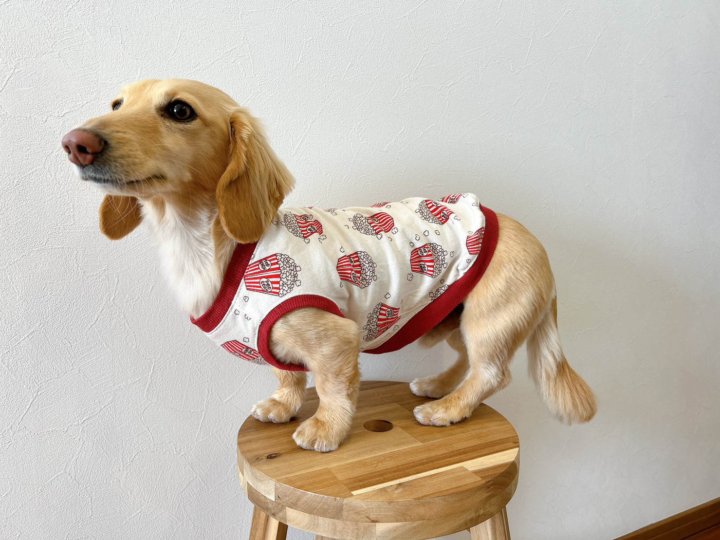 【 ルイスドッグ 】 犬服 ポップコーン ドレス 楽天市場】ポップコーン 犬服の通販