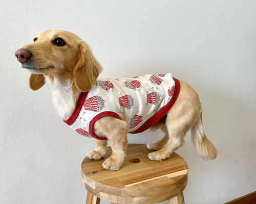 犬服ハンドメイド　タンクトップ(こはく) 楽天市場】パグ 服（タンクトップ｜ドッグウェア）：犬用品