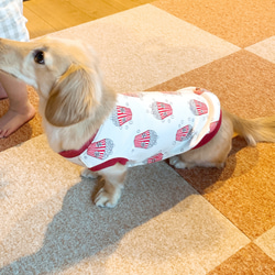 ロングサイズ ダックス服　3サイズ　タンクトップ　ポップコーン柄　受注製作品　犬服　タンク　犬の服　 10枚目の画像