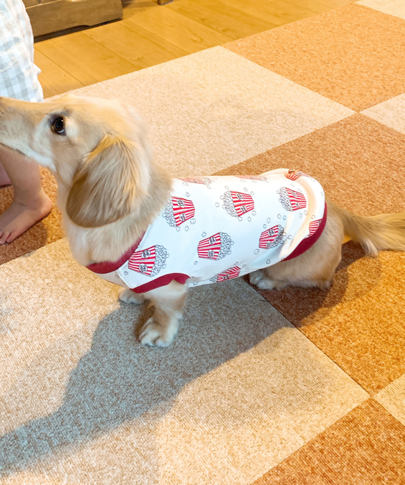 ロングサイズ ダックス服　3サイズ　タンクトップ　ポップコーン柄　受注製作品　犬服　タンク　犬の服　 10枚目の画像