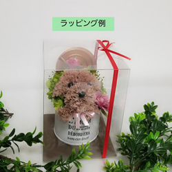 カーネーションの犬【淡い茶色】プリザーブドフラワー 犬 花 ペット 母の日 誕生日 お供え フラワーギフト 犬好き 7枚目の画像