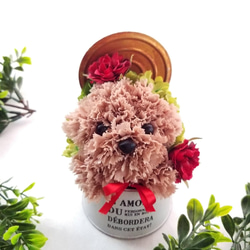 カーネーションの犬【淡い茶色】プリザーブドフラワー 犬 花 ペット 母の日 誕生日 お供え フラワーギフト 犬好き 2枚目の画像